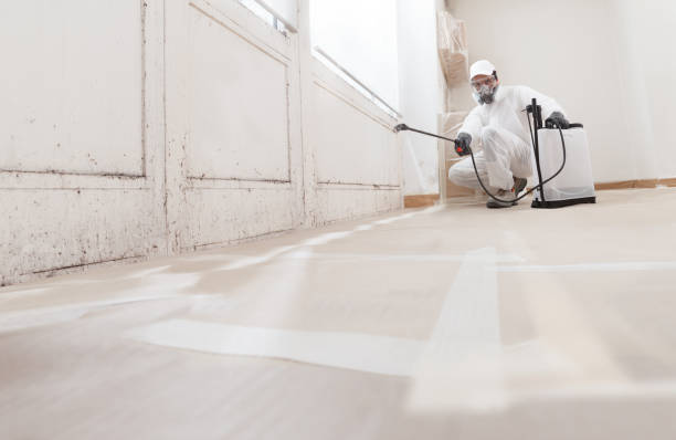 24/7 Emergency Commercial Mold Remediation experts in Portsmouth, VA