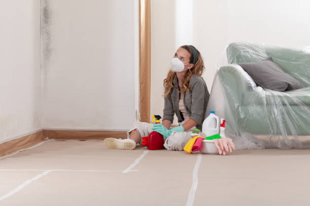 Reliable Commercial Mold Remediation contractor in Portsmouth, VA by WQB Mold Removal