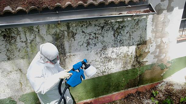 Top rated local Commercial Mold Remediation specialists in Portsmouth, VA